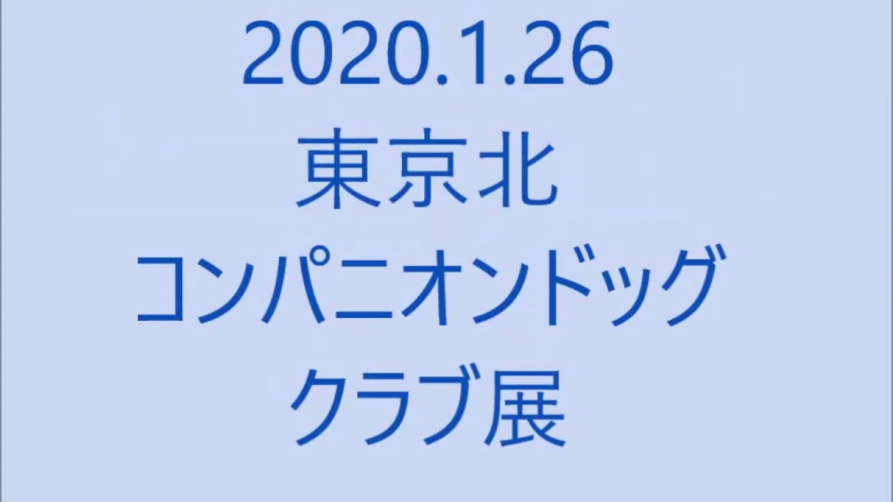 東京北コンパニオンドッグクラブ展 Youtube