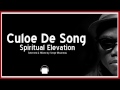 CULOE DE SONG SPIRITUAL ELEVATION HOUSE DJ SET CULOE DE SONG SPIRITUAL ELEVATION HOUSE DJ SET