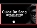 CULOE DE SONG   SPIRITUAL ELEVATION HOUSE DJ SET