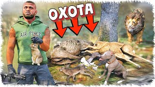 видео: Джонни Шарикпен бірінші рет аңға шықты (GTA V) картинка: Джонни Шарикпен бірінші рет аңға шықты (GTA V)