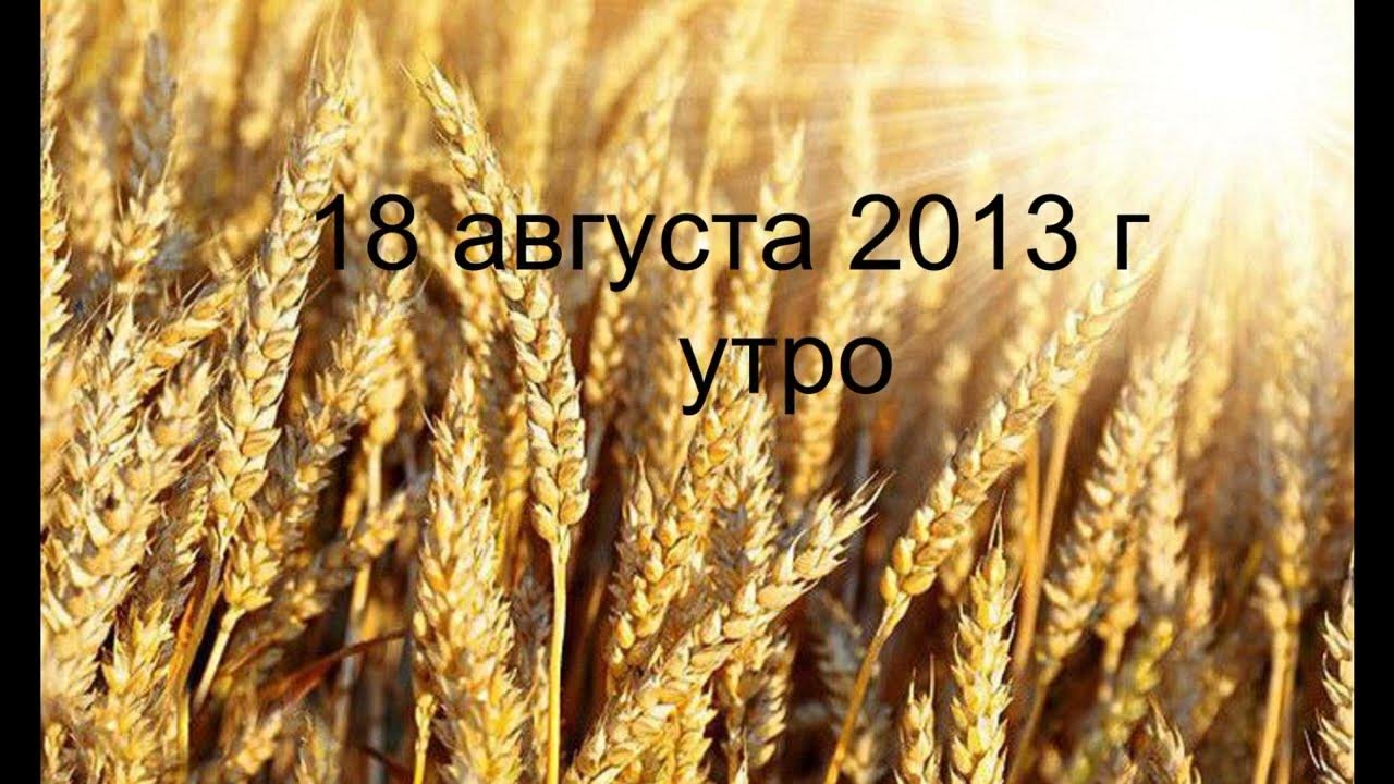 Стихотворение про пшеницу для детей. У пшеницы путь особый. Вектор пшеница золотистый. Тексты застольных песен. Пшеница золотая ноты.