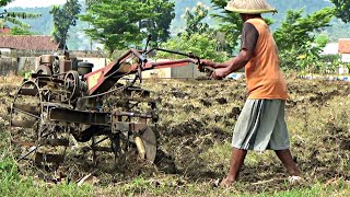 Rice field workers cultivate dry land with tractors