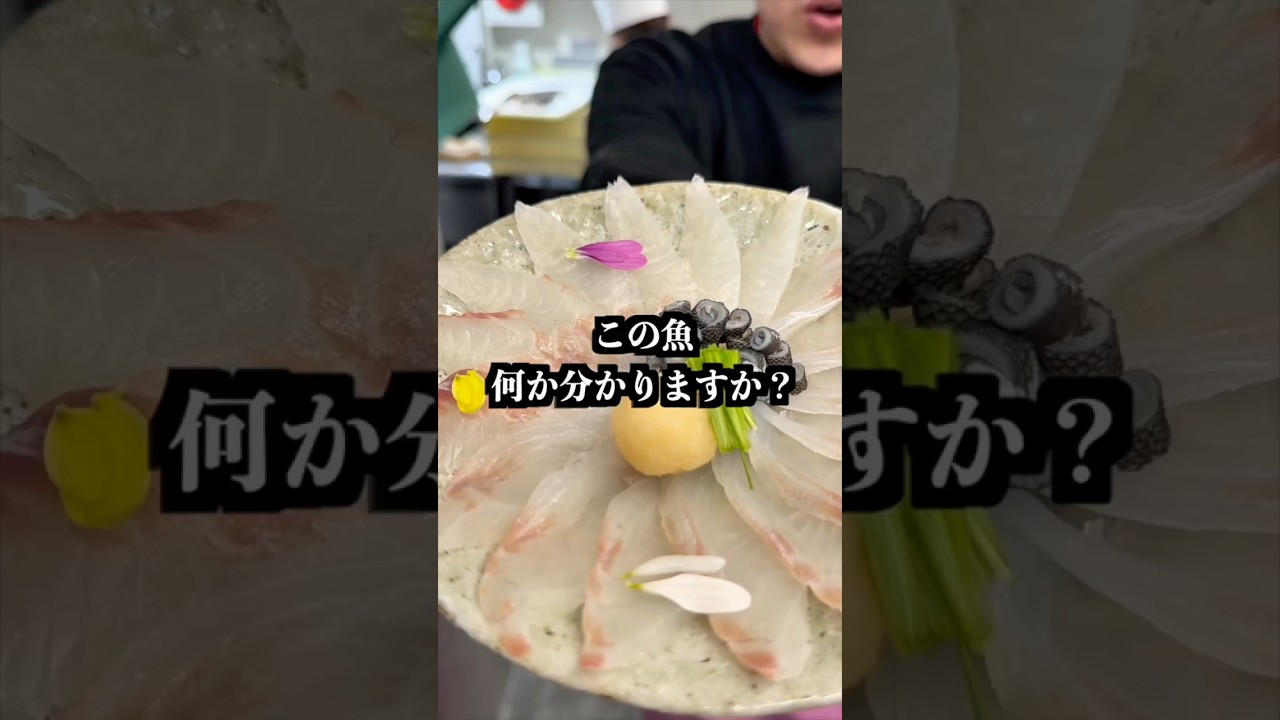 Quiz] Do you know this fish? - YouTube