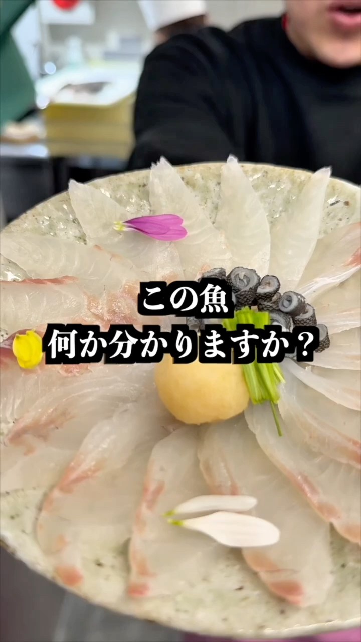 魚　の、何かはわかりませんが、、　二つセット Quiz] Do you know this fish? - YouTube