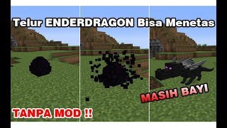 Download Lagu Trik Menetaskan Telur ENDERDRAGON DI MINECRAFT !! TIDAK PAKE MOD !! MP3