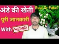 Egg Tree | Real Or Fake | क्या सच में अंडे की खेती करना मुमकिन है | Fact Check | Viral Video