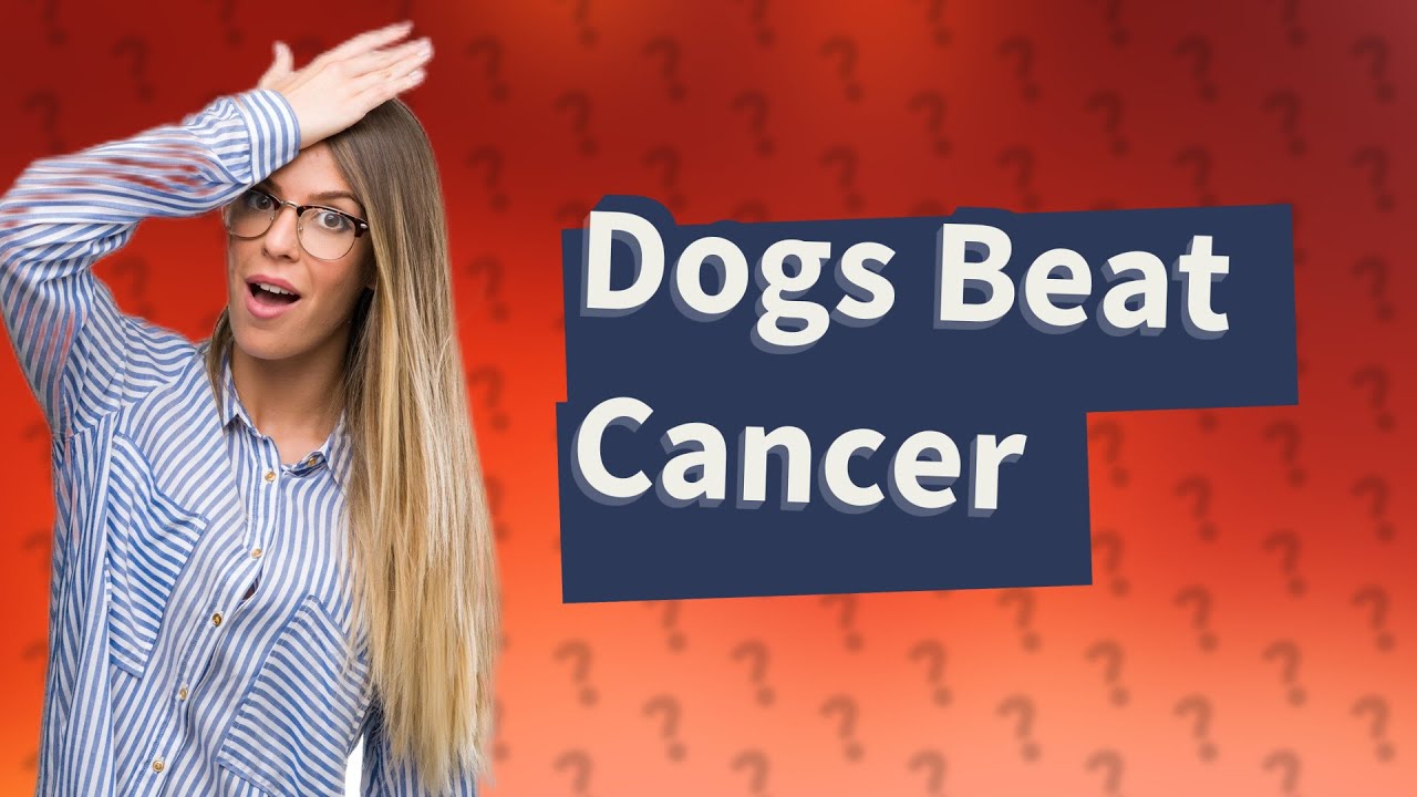 Has a dog ever survived YouTube