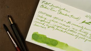 Majohn Q1 Fountain Pen 🔹 Iroshizuku Chiku-Rin Ink 🔹 Apica Premium Paper