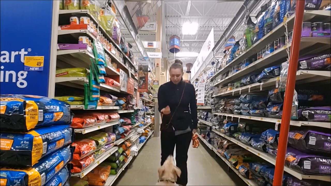 Embrace Balance K9 Training Channel Trailer YouTube