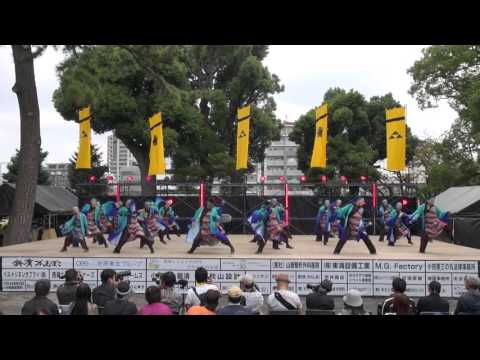 さがみ信用金庫　翔舞３－第１７回ＯＤＡＷＡＲＡえっさホイ踊り