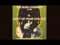 The Bush Chemists - Stand Up Dub