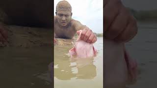 Best Big Dolphin Fish Hunting by Hands
