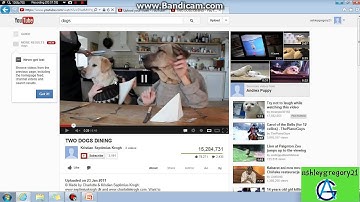How to add a Youtube video to Powerpoint 2007