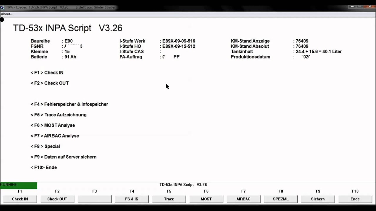 BMW INPA Read out/delete fault memory E90 YouTube