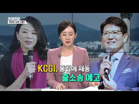 [코로나발 항공 빅뱅…누가 울고 누가 웃나? ] 복병은 남매 다툼?