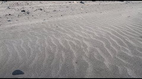 Seasonal collection / short visual