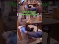 This wood metal technique is genius #shorts #crafts #diy