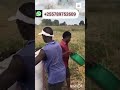 Karibu tast ujipatie mashine bora kabisa ya kupigia mpunga +255789752609