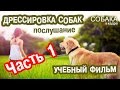 Дрессировка собак. Послушание (Часть 1).