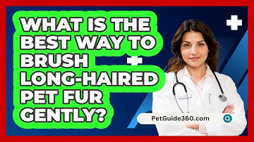 What Is The Best Way To Brush Long-haired Pet Fur Gently? - PetGuide360.com