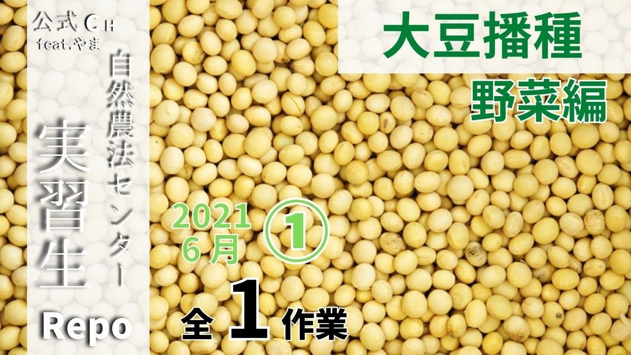 先の作業を見据えて、播種せよ大豆!! by 実習生☆ 初心者視点で