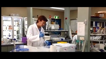 Unitywater Laboratory Services and water testing