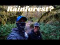 The Beauty of the Olympic Peninsula | Full Time RV Living