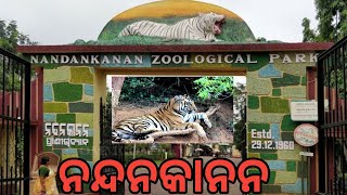 Nandankanan|| Zoological Park|| @simplelifestyleodiavlog588 screenshot 3