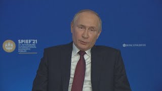 日ロ平和条約交渉は継続 プーチン大統領が会見