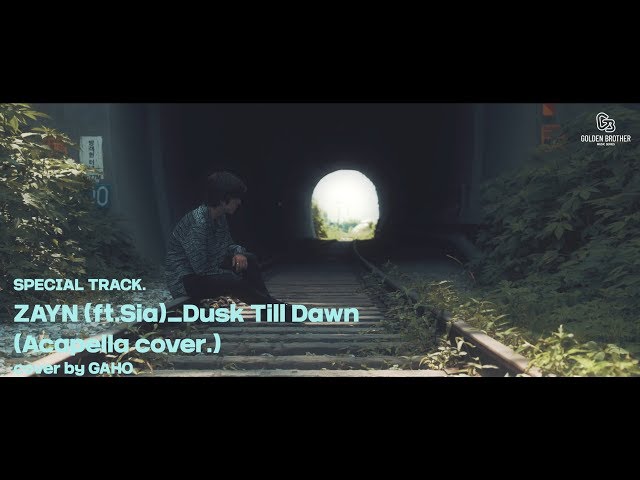 [LIVE] Zayn - 'Dusk Till Dawn' Acapella Ver. Covered by 가호(Gaho) [4songs_뽀송즈] class=