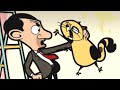 Gato muerto | Mr. Bean | Dibujos animados para niños | WildBrain Niños