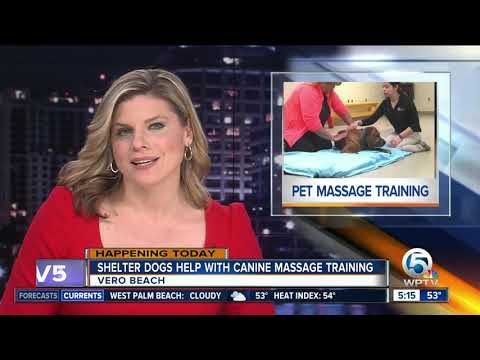humane-society-of-vero-beach-hosts-dog-massage-training-classes