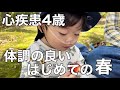 【心臓病】フォンタン手術後のピクニックに感動