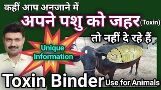 Toxin Binder for cattle feed टॉक्सिन बाइंडर क्या होता है what is toxin in animal body