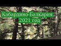 Кабардино-Балкария 2021 год. Автор и исполнитель песни Мурад Нурбердыев.