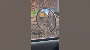 Loading Short wood!#logging ￼