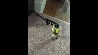 1:45:19 Portal 2 Speedrun  4/25/19