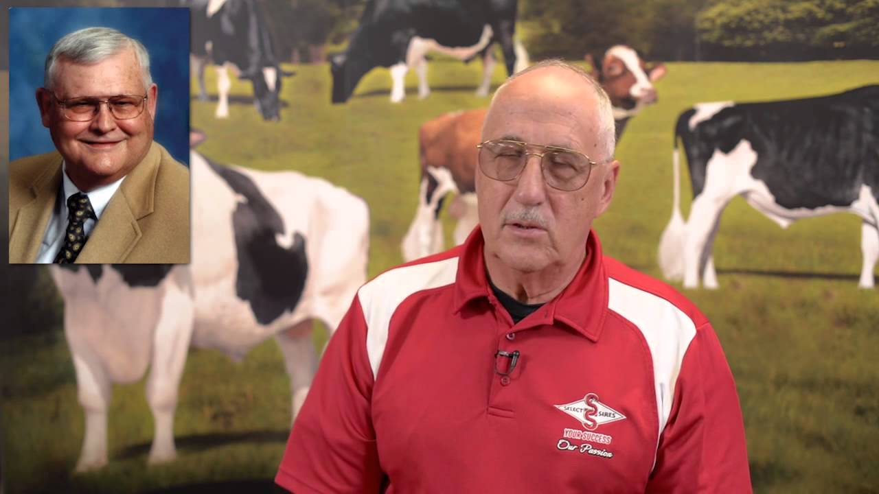 Cooperative Effort at Select Sires