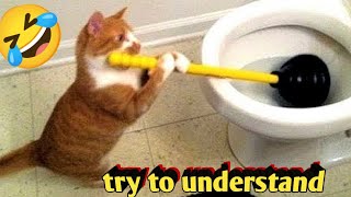 Funniest Animals 😄New Funny cats and Dogs Videos 😹🐕 by Won Animals  3,382 views 3 months ago 10 minutes, 8 seconds