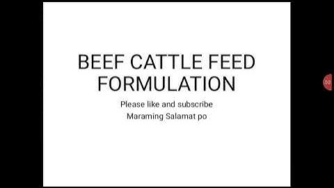 Beef Cattle Feed Formulation