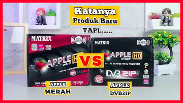 Baru Sih Tapi OVERPRICED & Gak Spesial | Set Top Box TV Digital Matrix Apple HD DVB2IP Dus Hitam