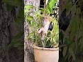 STEELY Discovers Another Fun Spot to Play!
