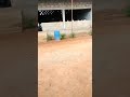 Epl Séwoa da Silveira 