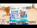 不思議な形の猫用歯みがきで楽しく歯みがき