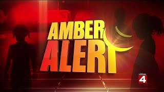 Missing Hamburg Twp. 7-year-old believed to be with sex offender