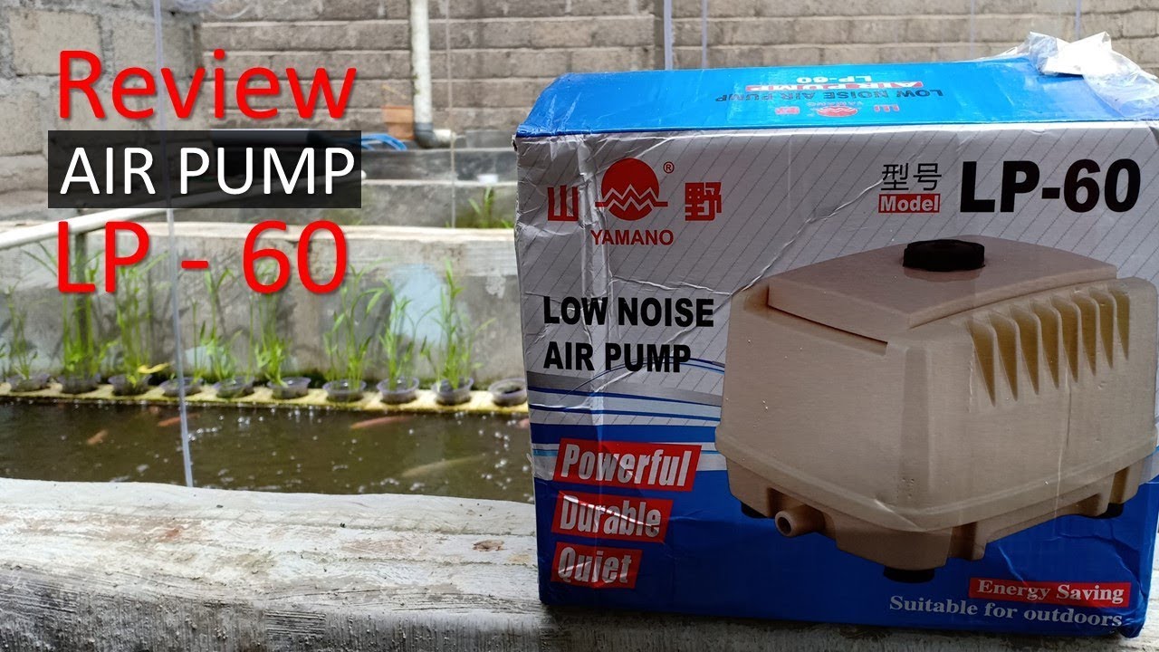 Review Aerator Pompa Udara Yamano Lp 60 Air Pump Untuk Budi Daya Ikan Nila