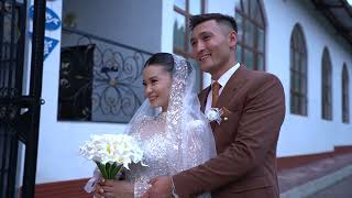 видео: той картинка: той