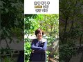 포라이프 면역 해독 다이어트.  이지 디엑스.  요요없는 다이어트.