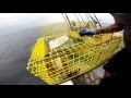 Lobster fishing in Massachusetts!