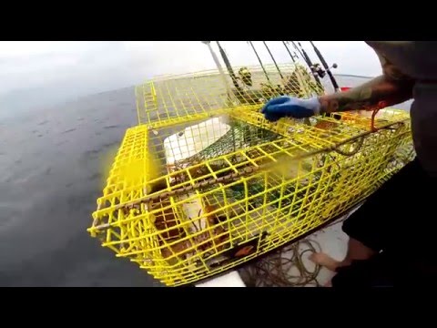 fishing boat jobs massachusetts lobster boats of dyer bay maine doovi fishing boat jobs massachusetts lobster boats of dyer bay maine doovi